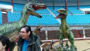 IMG-20160513-WA0009